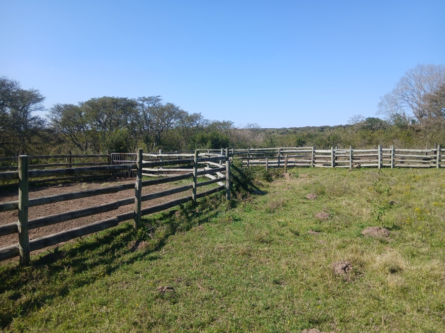 0 Bedroom Property for Sale in Kei Road Eastern Cape